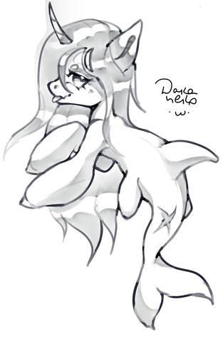 Sketch